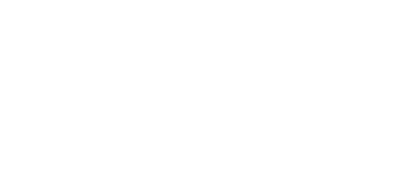 میگاپے logo
